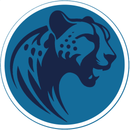 Vabis Transport Logo